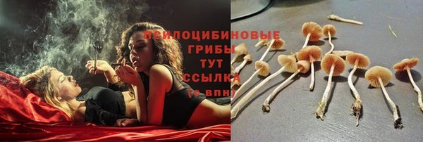 эйфоретик Кинешма