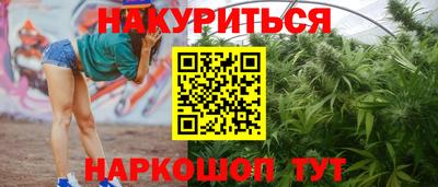 кокаин Гатчина
