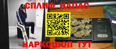бошки Гай