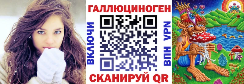 Псилоцибиновые грибы Psilocybe  Майкоп 